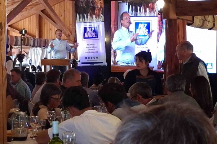 Récord histórico en Junín de los Andes: más de 3.000 cabezas, ventas totales en el Remate de Invernada y un fuerte impulso al sector ganadero  (VIDEO)