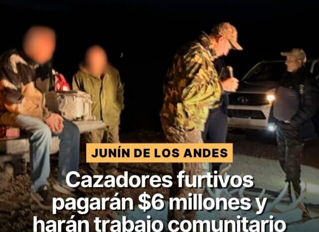Cazadores furtivos pagarán $6 millones y realizarán trabajo comunitario por cazar un ciervo en Junín de los Andes