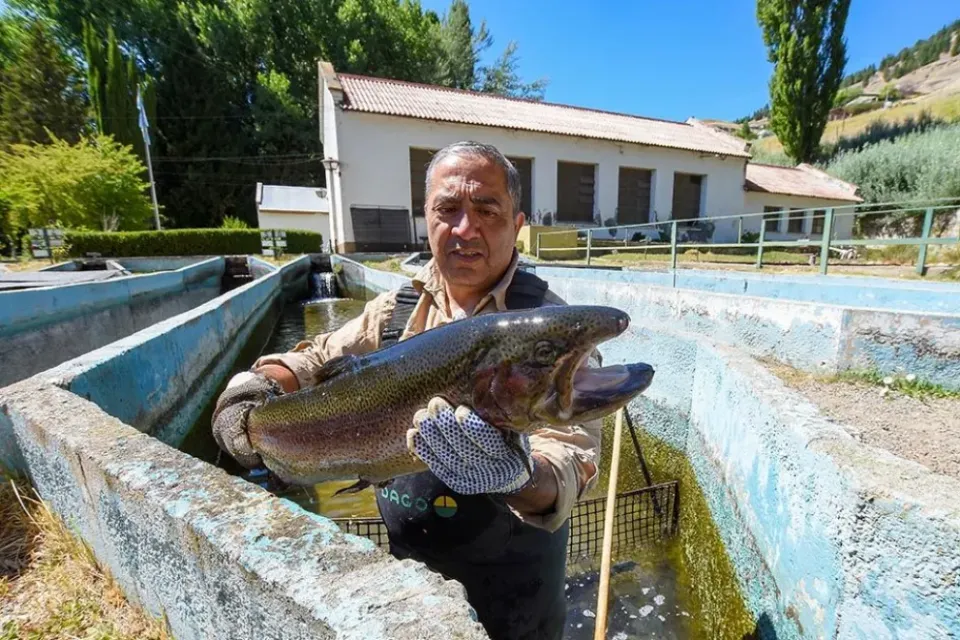Valor agregado: Fomentan la piscicultura con ciencia aplicada desde el CEAN