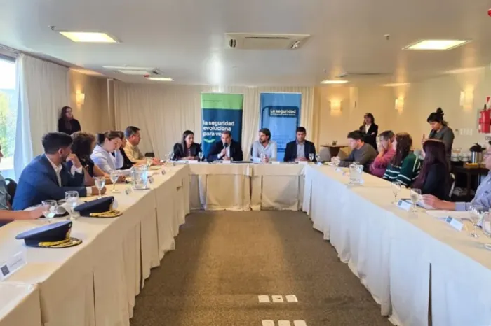 Consejo Regional: Se fortalece la seguridad en la Región de los Lagos con nuevos acuerdos operativos