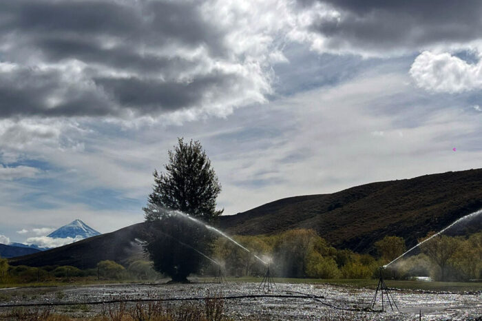 Spring Creek SA: producción, sustentabilidad y defensa del río Chimehuín en Junín de los Andes (VIDEO)