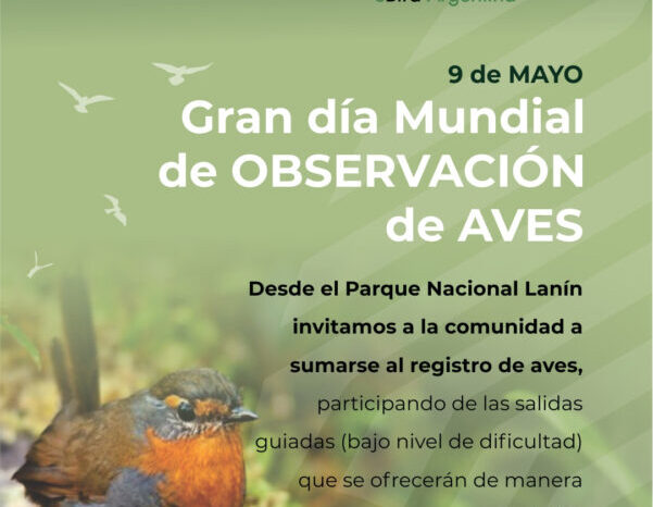 Parque Nacional Lanín se suma al Global Big Day y abre sus puertas a la observación de aves