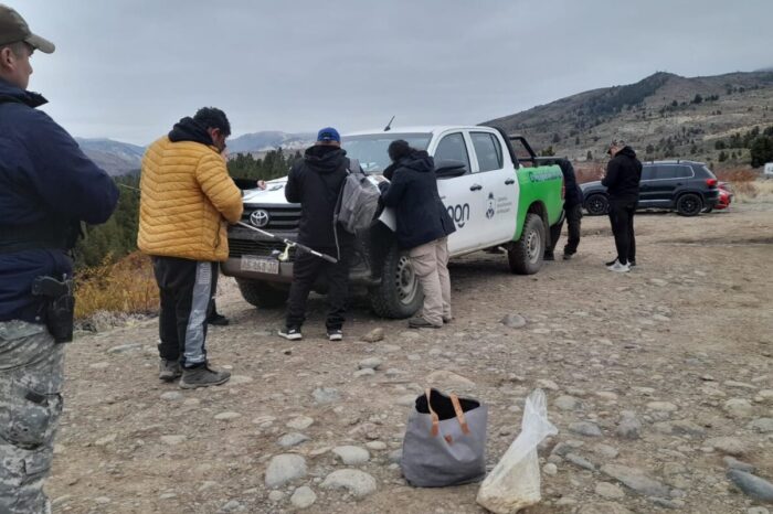 Gran operativo conjunto de Guardafaunas y Brigada Rural y Abigeato Zona los Lagos: Secuestraron 14 truchas y 3 cañas en Alicura-
