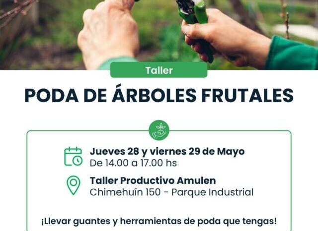 Capacitación en poda de árboles frutales: Junín de los Andes fortalece la producción local con taller interinstitucional