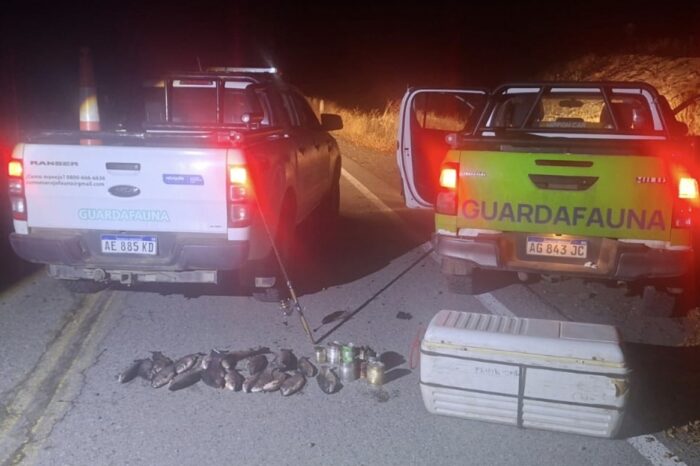 Secuestran 18 truchas e infraccionan a 11 pescadores por violar la Ley 2539