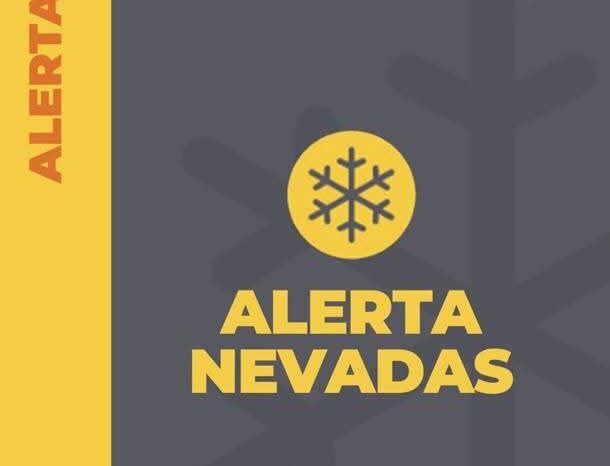 Alerta amarilla por nieve en la zona cordillerana