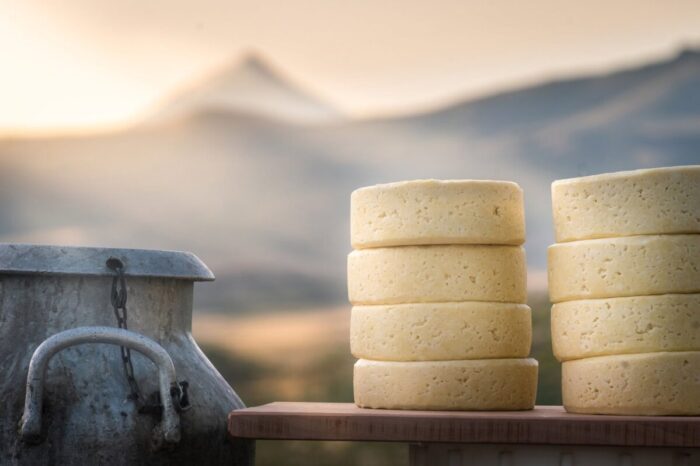 Junín de los Andes tendrá su primera Fiesta del Queso Cordillerano