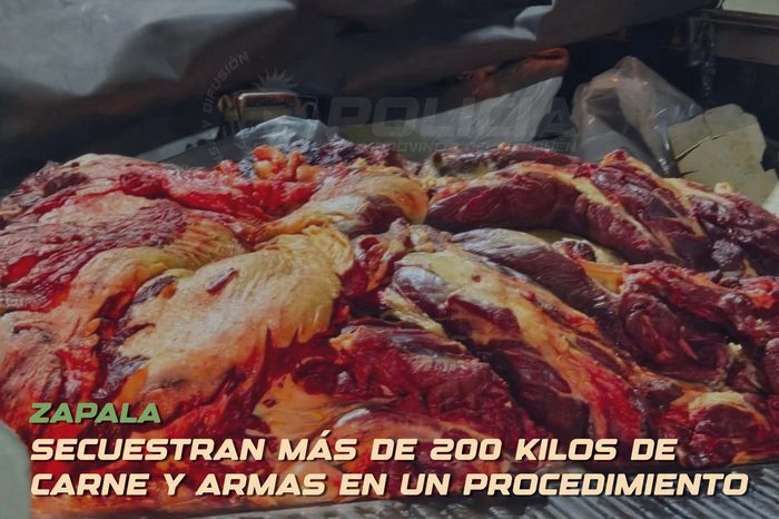 Golpe al abigeato en Zapala: Personal de la Policía de Neuquén secuestró más de 200 kilos de carne, armas y un equino en la ruta 40