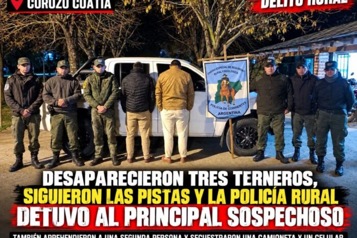 Curuzú Cuatiá: siguieron las huellas de tres terneros desaparecidos y detuvieron a un sospechoso