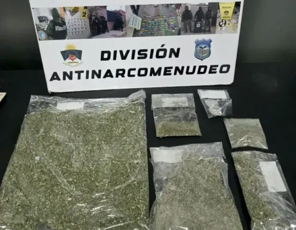Sin tregua: la Policía secuestró más de medio kilo de marihuana