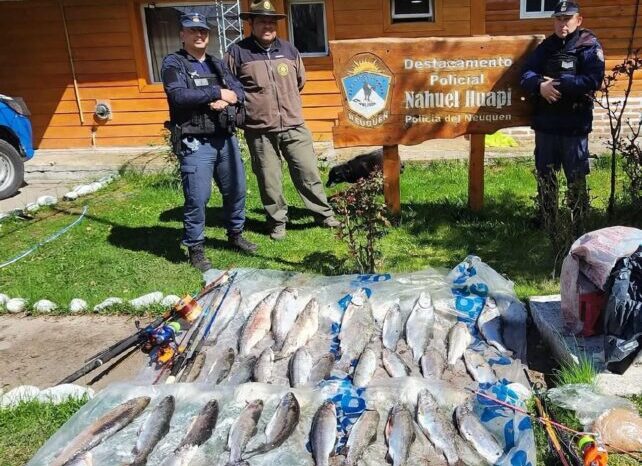 Nahuel Huapi: secuestraron 36 truchas durante un control vehicular en la Ruta 40