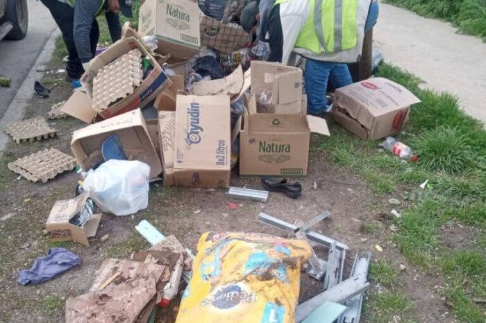 Puntos Verdes en Junín: el reciclaje funciona si lo hacemos entre todos