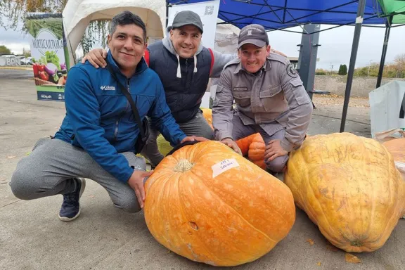 Comenzó la novena edición del concurso Ciudad Zapallo